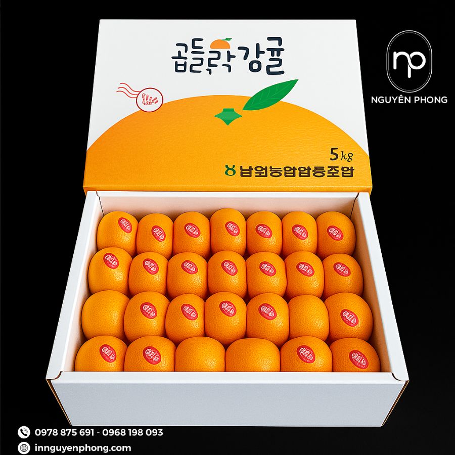 in-thung-carton-dung-dua-gia-re-tai-ha-noi